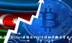 如何轻松在TPWallet中转出USDT？详细步骤