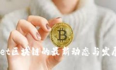 SEANet区块链的最新动态与发展趋势