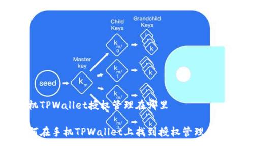 手机TPWallet授权管理在哪里

如何在手机TPWallet上找到授权管理的设置