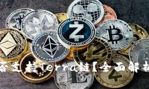 tpwallet是否支持Terra链？全面解析与使用指南